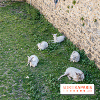 Le Château de Breteuil, ses jardins remarquables et contes de Perrault 
