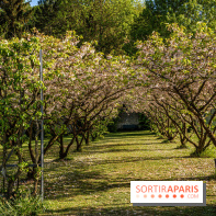 Le Château de Breteuil, ses jardins remarquables et contes de Perrault 