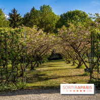 Le Château de Breteuil, ses jardins remarquables et contes de Perrault 