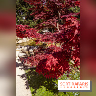 Le Jardin Japonais d'Ichikawa à Issy-les-Moulineaux