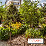 Le Jardin Japonais d'Ichikawa à Issy-les-Moulineaux