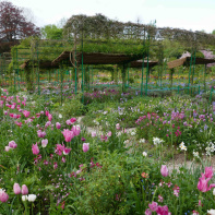 Maison et Jardins Claude Monet à Giverny