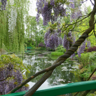 Maison et Jardins Claude Monet à Giverny