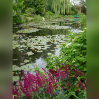 Maison et Jardins Claude Monet à Giverny