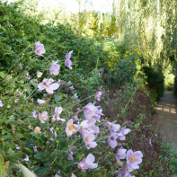 Maison et Jardins Claude Monet à Giverny