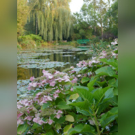 Maison et Jardins Claude Monet à Giverny