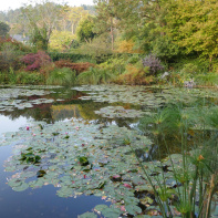 Maison et Jardins Claude Monet à Giverny