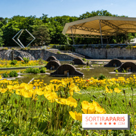 Le Parc Floral en photos 