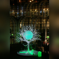 Illumination du Forum des Halles par Samuel Le Bihan