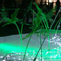 Illumination du Forum des Halles par Samuel Le Bihan