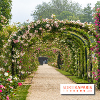 Photos : La Roseraie du val-de-Marne