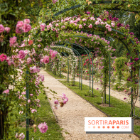 Photos : La Roseraie du val-de-Marne