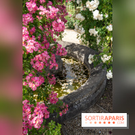 Photos : La Roseraie du val-de-Marne