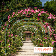 Photos : La Roseraie du val-de-Marne