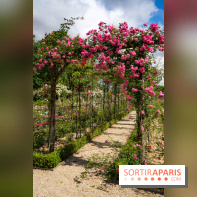 Photos : La Roseraie du val-de-Marne