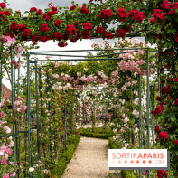 Photos : La Roseraie du val-de-Marne