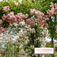 Photos : La Roseraie du val-de-Marne