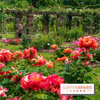 La Roseraie du Parc Lebaudy sur l'Ile de Puteaux
