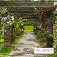 La Roseraie du Parc Lebaudy sur l'Ile de Puteaux