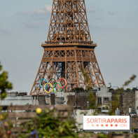 La terrasse en Rooftop du Brach, le bar perché dans un jardin potager -  A7C7694