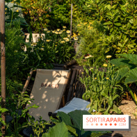 La terrasse en Rooftop du Brach, le bar perché dans un jardin potager -  A7C7689
