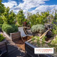 Photos : Le Rooftop du Brach