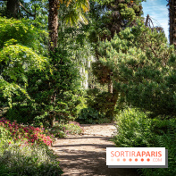 Arboretum de la Vallée-aux-Loups, une balade au milieu des arbres remarquables