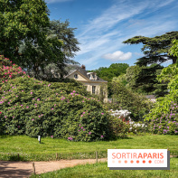 Arboretum de la Vallée-aux-Loups, une balade au milieu des arbres remarquables - A7C07799