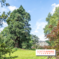 Arboretum de la Vallée-aux-Loups, une balade au milieu des arbres remarquables