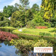 Arboretum de la Vallée-aux-Loups, une balade au milieu des arbres remarquables - A7C07783