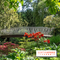 Arboretum de la Vallée-aux-Loups, une balade au milieu des arbres remarquables - A7C07779