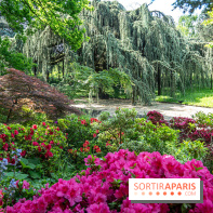 Arboretum de la Vallée-aux-Loups, une balade au milieu des arbres remarquables - A7C07775