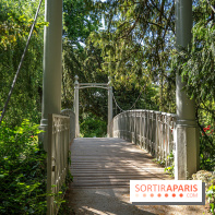 Arboretum de la Vallée-aux-Loups, une balade au milieu des arbres remarquables - A7C07766