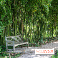 Arboretum de la Vallée-aux-Loups, une balade au milieu des arbres remarquables
