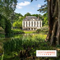 Arboretum de la Vallée-aux-Loups, une balade au milieu des arbres remarquables - A7C07764