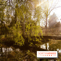 Arboretum de la Vallée-aux-Loups, une balade au milieu des arbres remarquables - A7C09390 Edit