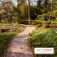 Arboretum de la Vallée-aux-Loups, une balade au milieu des arbres remarquables - A7C09393