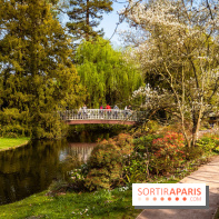 Arboretum de la Vallée-aux-Loups, une balade au milieu des arbres remarquables - A7C09395