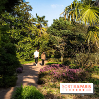 Arboretum de la Vallée-aux-Loups, une balade au milieu des arbres remarquables - A7C09397