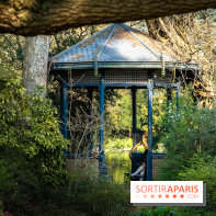 Arboretum de la Vallée-aux-Loups, une balade au milieu des arbres remarquables - A7C09401