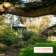 Arboretum de la Vallée-aux-Loups, une balade au milieu des arbres remarquables - A7C09402