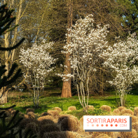 Arboretum de la Vallée-aux-Loups, une balade au milieu des arbres remarquables