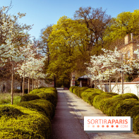 Arboretum de la Vallée-aux-Loups, une balade au milieu des arbres remarquables - A7C09411