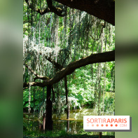 Arboretum de la Vallée-aux-Loups, une balade au milieu des arbres remarquables