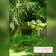 Arboretum de la Vallée-aux-Loups, une balade au milieu des arbres remarquables