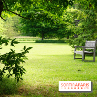 Arboretum de la Vallée-aux-Loups, une balade au milieu des arbres remarquables