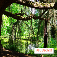 Arboretum de la Vallée-aux-Loups, une balade au milieu des arbres remarquables