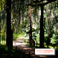 Arboretum de la Vallée-aux-Loups, une balade au milieu des arbres remarquables