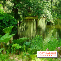 Arboretum de la Vallée-aux-Loups, une balade au milieu des arbres remarquables