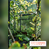 Jardins jardin aux Tuileries 2022